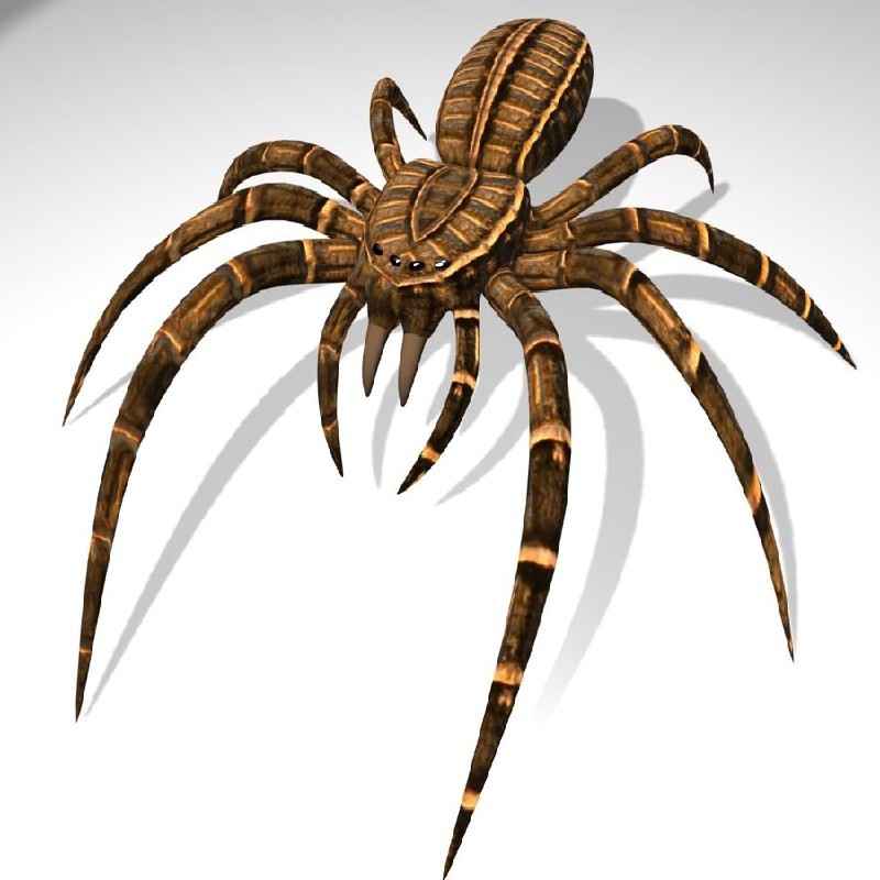 BGE Spider preview image 1